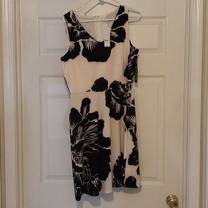 NY&C Womens Professional Dress- M